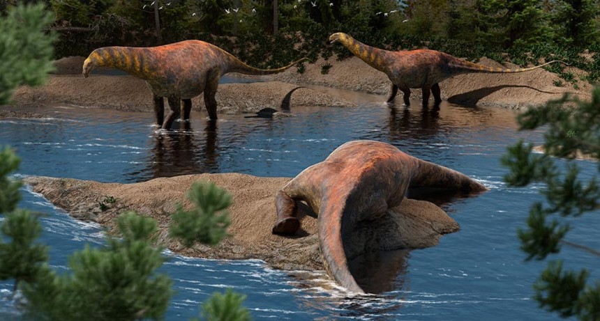 Descubren en Neuquén una nueva especie de dinosaurio saurópodo que vivió hace 95 millones de años