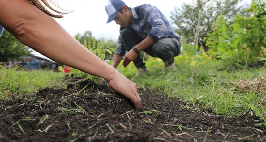 Aprendé a autoproducir árboles frutales agroecológicos en La Matanza: talleres gratuitos con salida práctica