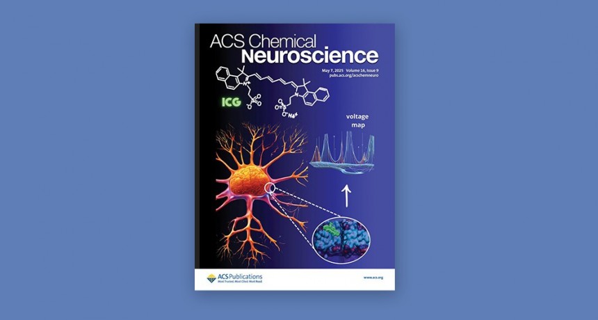 Estudian una molécula con potencial para mejorar métodos de diagnóstico por imágenes