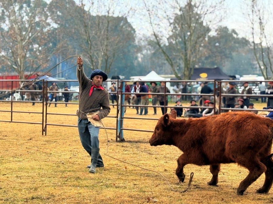 Cinco d&iacute;as para vivir la tradici&oacute;n con jineteadas, folklore y miles de visitantes