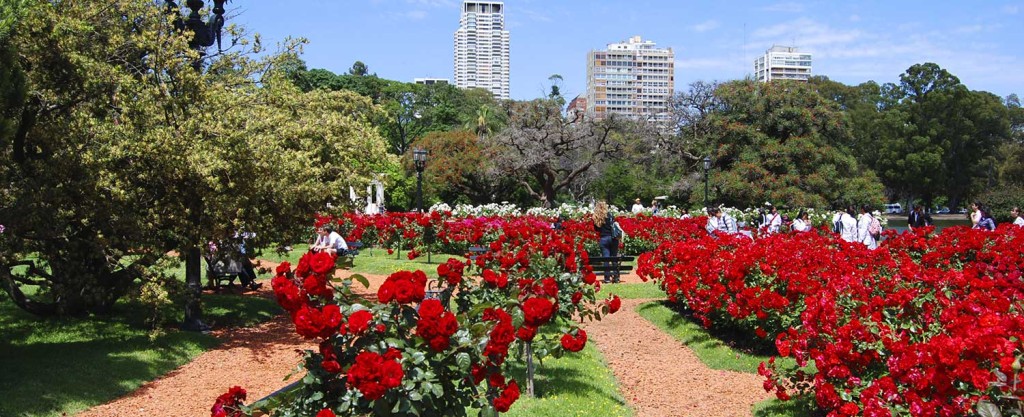 El Rosedal de Palermo vuelve a regalar esquejes de rosas durante su tradicional poda de invierno