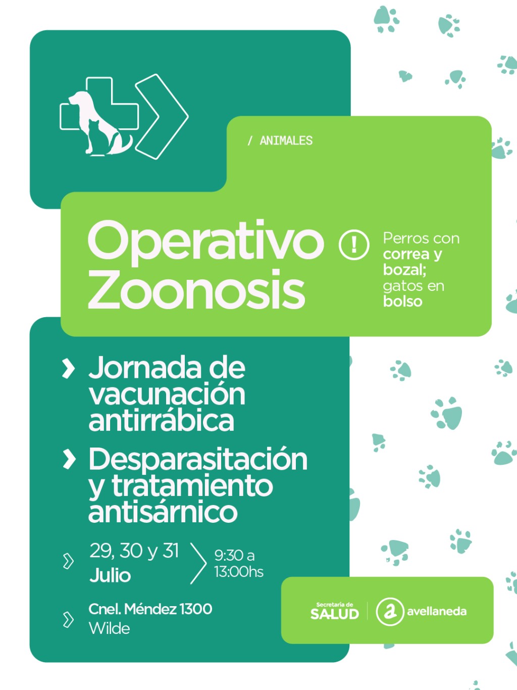 Vacunaci&oacute;n antirr&aacute;bica y desparasitaci&oacute;n gratuita: Avellaneda realizar&aacute; un operativo de Zoonosis en Wilde