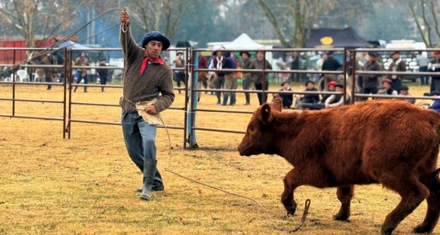 Cinco d&iacute;as para vivir la tradici&oacute;n con jineteadas, folklore y miles de visitantes