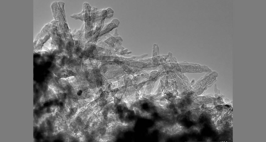 Nanotecnolog&iacute;a aplicada al agro: buscan hacer m&aacute;s eficiente el uso de fertilizantes