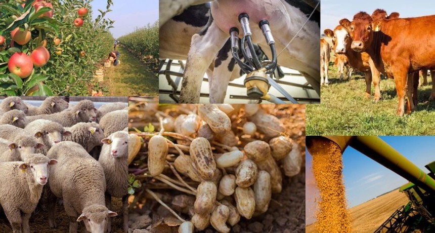 Milei profundiza la crisis de las econom&iacute;as regionales: precios pisados, costos altos y productores al l&iacute;mite