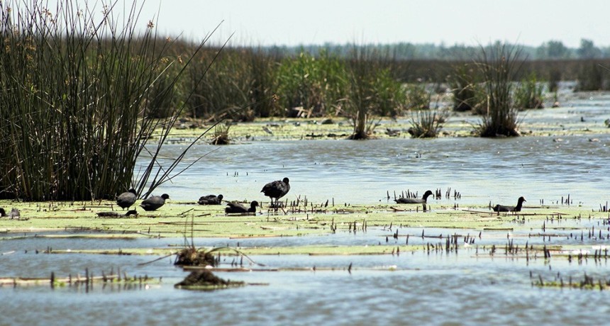 Elaboran el mapeo m&aacute;s exhaustivo realizado hasta ahora de los ecosistemas argentinos