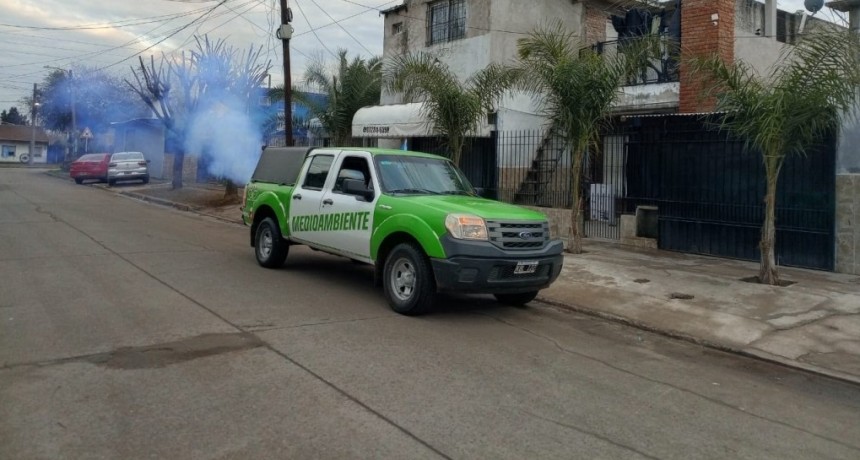 Esteban Echeverr&iacute;a intensifica los operativos de fumigaci&oacute;n para prevenir el dengue