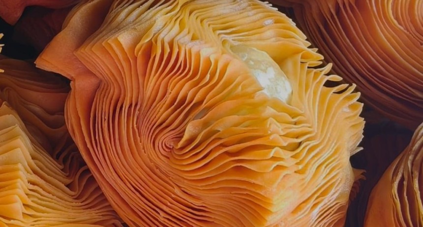 Tapalqu&eacute; se llena de sabor con la Fiesta del Pastelito y el Chocolate Caliente