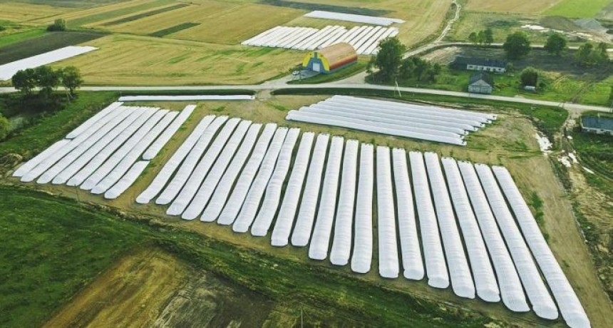 Argentina exportará tecnología de almacenamiento de granos a Pakistán