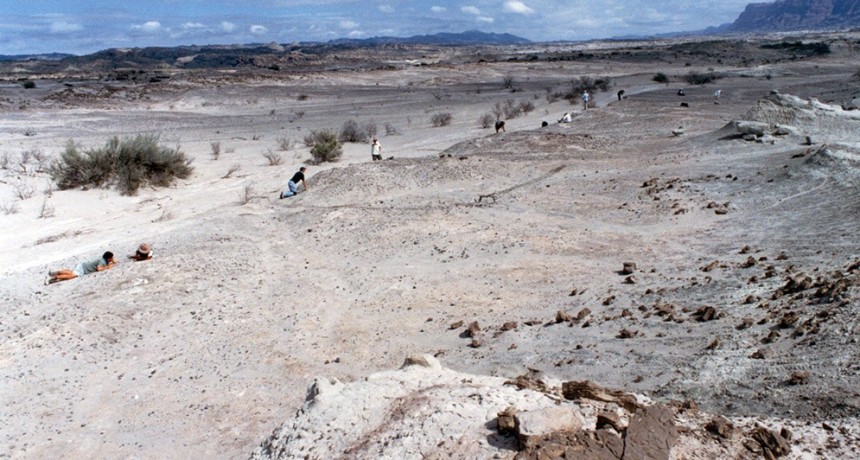 Hallan en San Juan un ancestro de los lagartos que convivió con los primeros dinosaurios