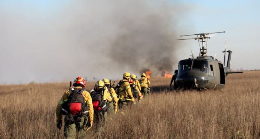 El Ministerio de Ambiente denunciará a los dueños de los predios donde se iniciaron los incendios del Delta