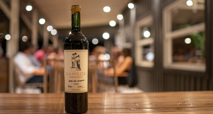 Tres bodegas para degustar los mejores vinos de la provincia de Buenos Aires