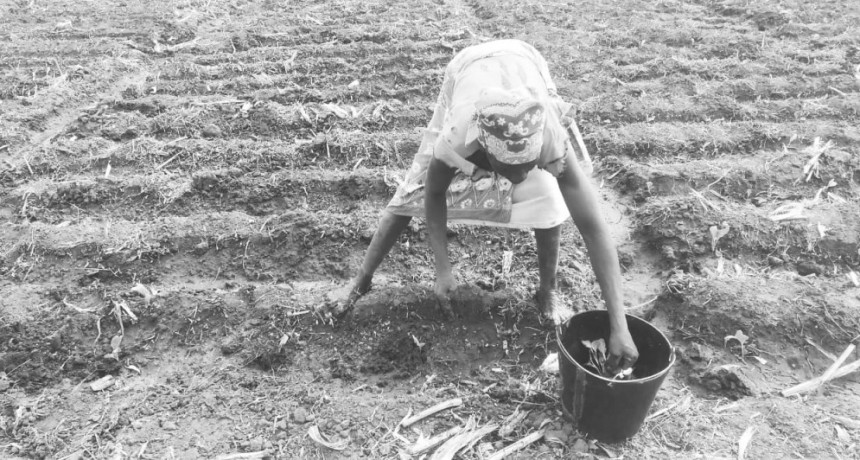 Petrona, una criolla de Areco