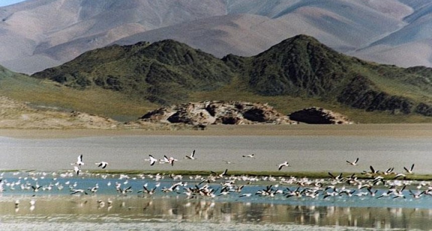 Laguna Blanca busca ser uno de los mejores pueblos turísticos del mundo