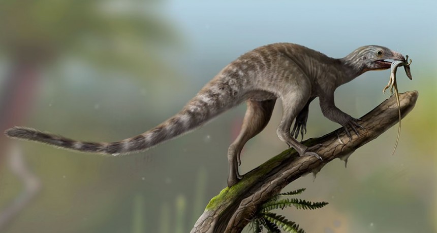 Un fósil devela un enigma de la paleontología: cómo eran los ancestros de los reptiles voladores