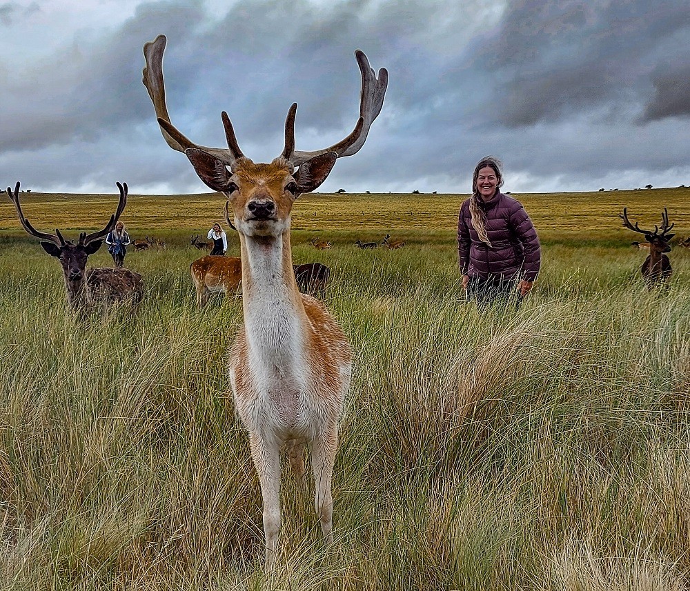 Avistaje de Animales y Caminatas Bajo las Estrellas: El Hechizo de las Sierras en el Sudoeste Bonaerense