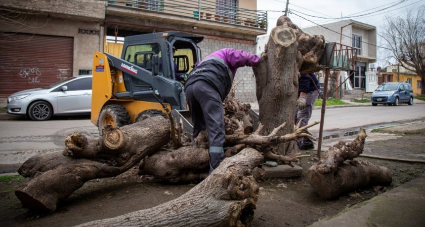 Quilmes Avanza con los Operativos Integrales de Limpieza