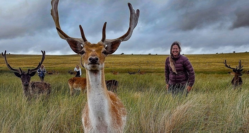 Avistaje de Animales y Caminatas Bajo las Estrellas: El Hechizo de las Sierras en el Sudoeste Bonaerense