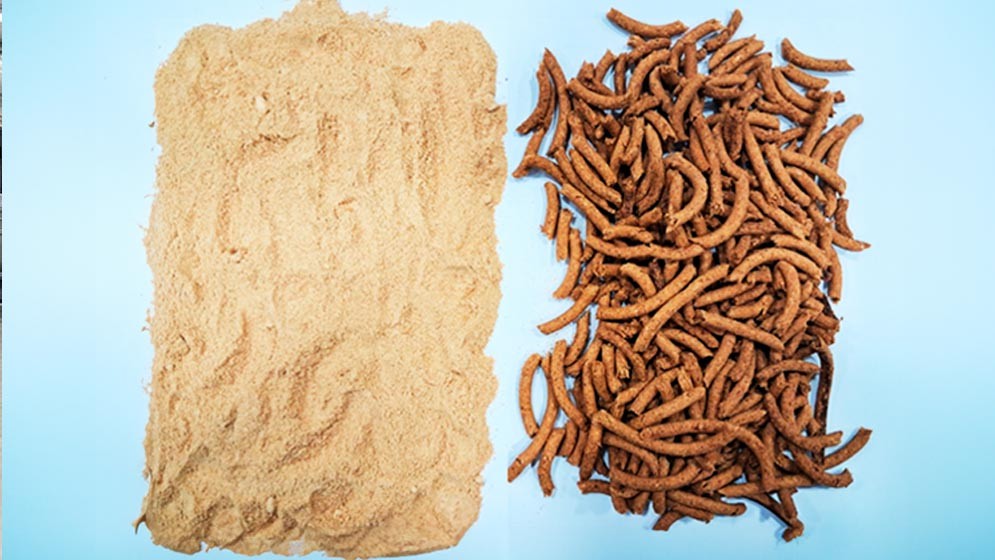 Investigaciones de científicos del CONICET permiten incorporar nuevos productos al Código Alimentario Argentino