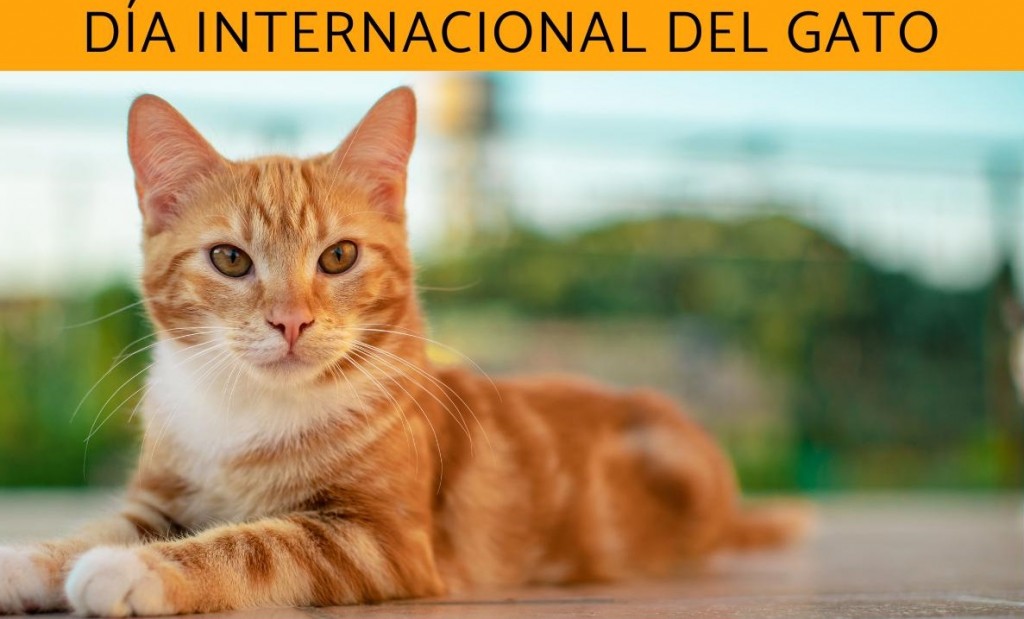 Efemérides del 8 de agosto