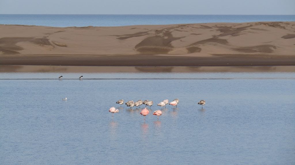Tres Arroyos se viste de fiesta: artesanos, tradiciones y cultura en el fin de semana largo