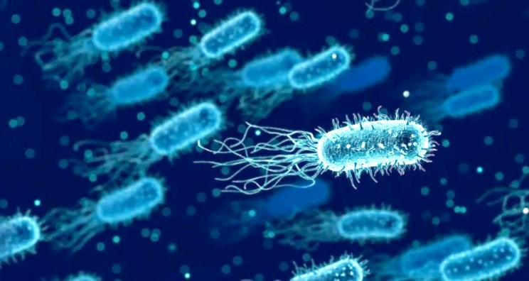 Listeriosis: lo que hay que saber sobre esta enfermedad transmitida por alimentos