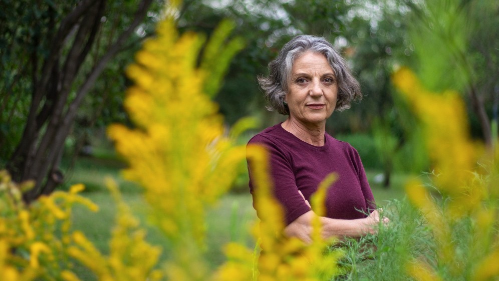 Las raíces y las semillas: un vínculo subterráneo que moldea la biodiversidad mundial