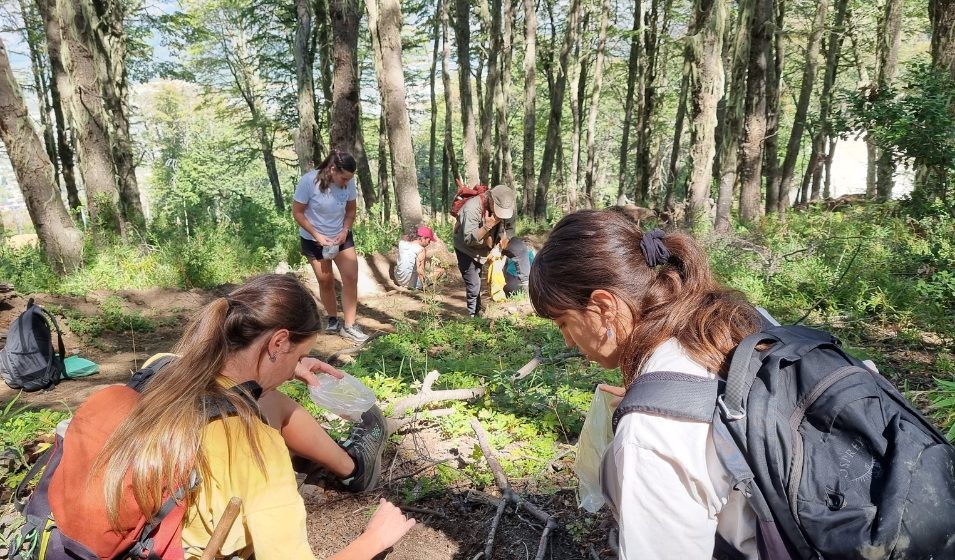 Especialistas del CONICET lideran estudios para el Manejo de Riesgos y Restauración Ambiental tras los incendios en la Patagonia