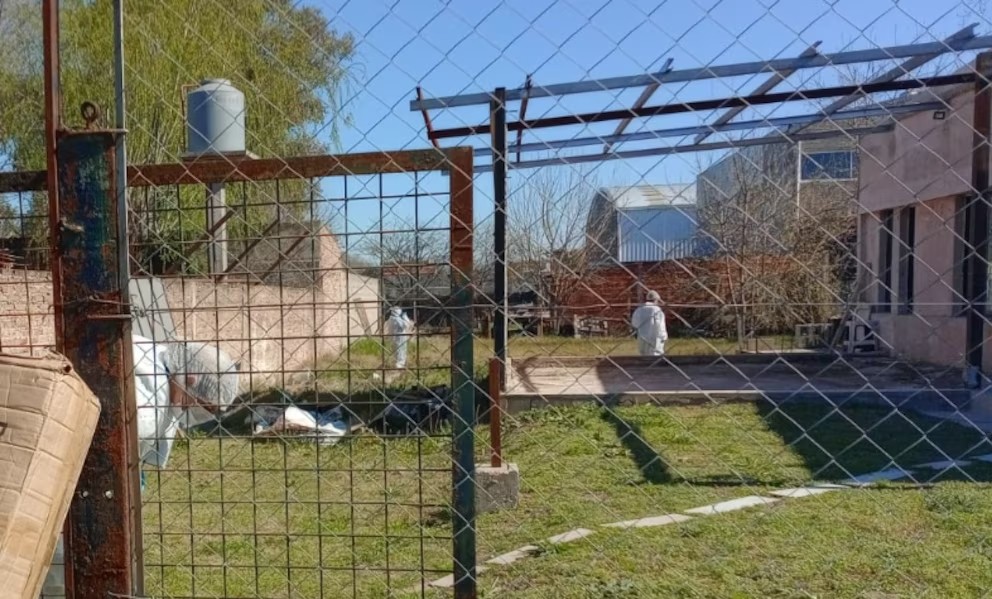Terror en Tristán Suárez: una mujer fue hallada enterrada en su patio y sospechan de su hija adolescente