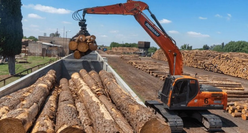 La principal maderera de Corrientes paraliza su producción y suspende a 520 trabajadores