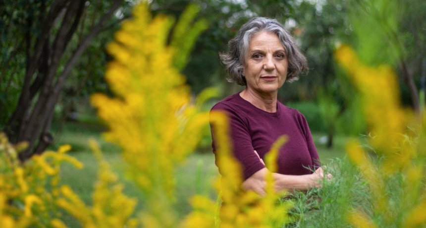 Las raíces y las semillas: un vínculo subterráneo que moldea la biodiversidad mundial