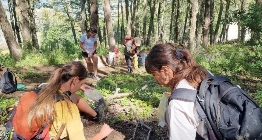 Especialistas del CONICET lideran estudios para el Manejo de Riesgos y Restauración Ambiental tras los incendios en la Patagonia