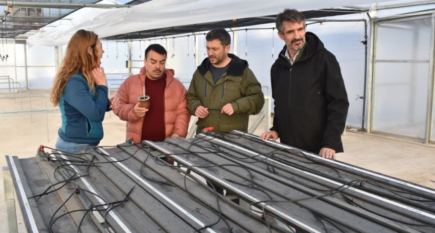 Miramar apuesta al futuro: avanza la construcción de la Biofábrica en la Chacra Experimental