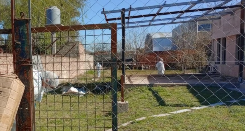 Terror en Tristán Suárez: una mujer fue hallada enterrada en su patio y sospechan de su hija adolescente
