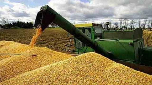 La tierra agr&iacute;cola se dispara y deja a los peque&ntilde;os productores al borde del abismo