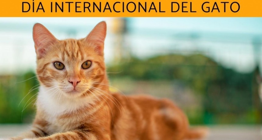 Efem&eacute;rides del 8 de agosto
