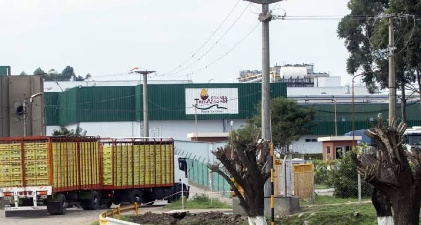 Crisis en la industria av&iacute;cola: Granja Tres Arroyos despidi&oacute; a 250 trabajadores y paraliz&oacute; su planta en Entre R&iacute;os