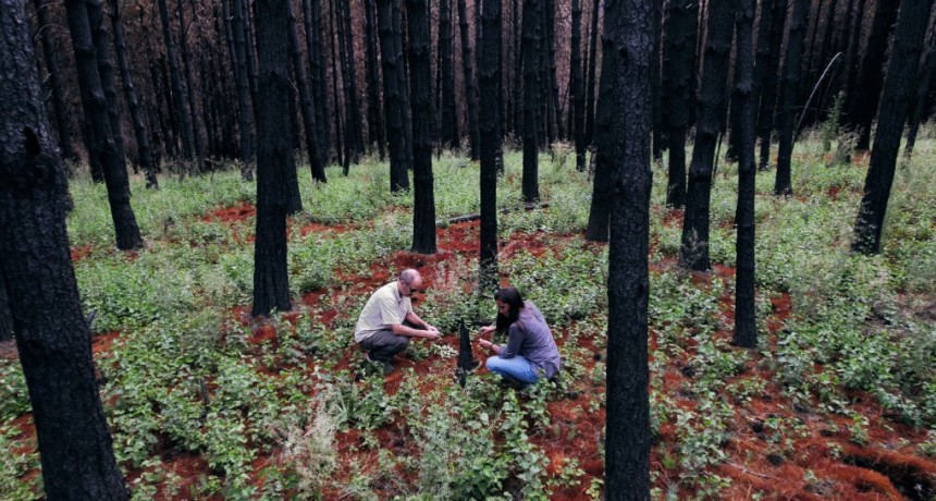 &ldquo;Incendios Forestales en la Patagonia&rdquo;: una producci&oacute;n audiovisual con mirada cient&iacute;fica