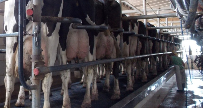 El campo suma empleo, pero crece la concentraci&oacute;n y desaparecen peque&ntilde;os productores