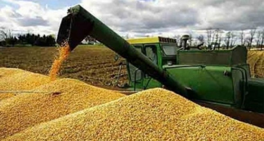 La tierra agr&iacute;cola se dispara y deja a los peque&ntilde;os productores al borde del abismo