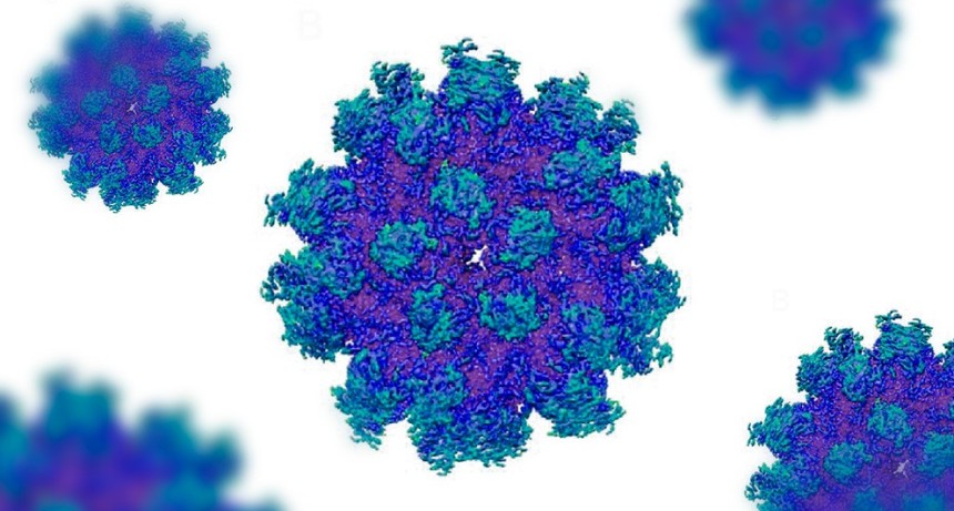 Desarrollan una herramienta que predice el riesgo de rechazo e infecciones despu&eacute;s de un trasplante renal