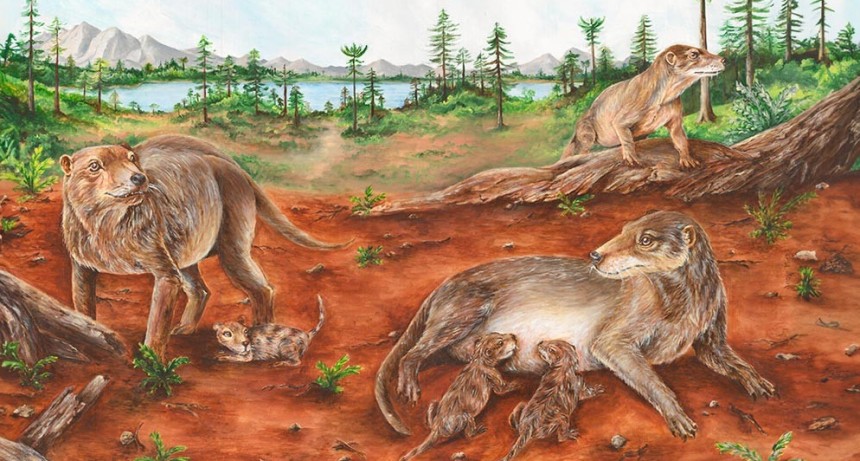 Revelan que el viviparismo surgi&oacute; en el linaje de los mam&iacute;feros m&aacute;s de 90 millones de a&ntilde;os antes de lo que se cre&iacute;a