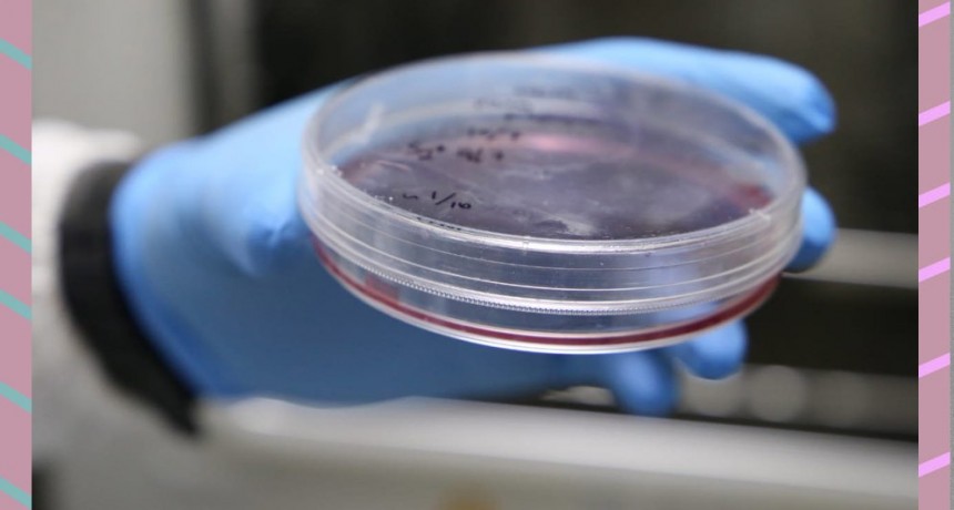 Un nuevo trabajo confirma la duración de los anticuerpos producidos por la vacuna Sputnik V hasta, al menos, seis meses después de la inoculación