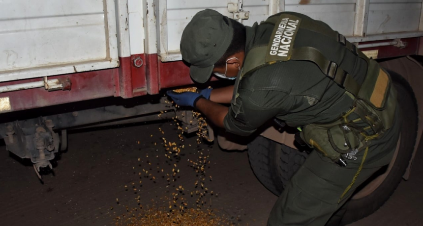 Contrabando: Gendarmería incautó más de 60 toneladas de maíz