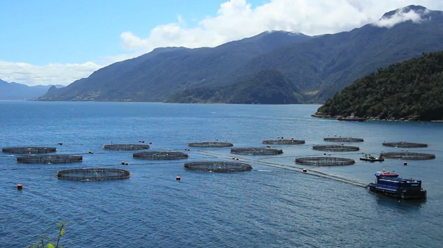 Nueva reglamentación nacional para el desarrollo de la acuicultura sustentable