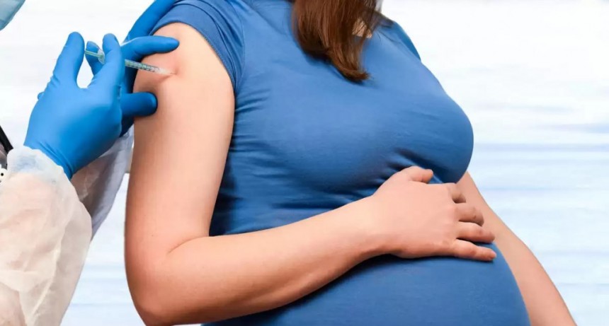 La ANMAT autorizó la vacuna para personas gestantes contra el virus sincicial respiratorio