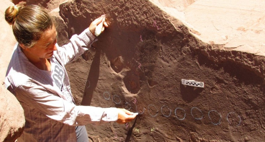 Huellas fósiles de La Rioja revelan nueva fauna que habitó hace 15 millones de años