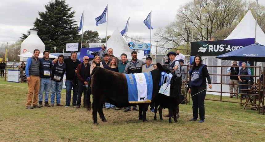 Ya estan los campeones de la Nacional Angus de Primavera