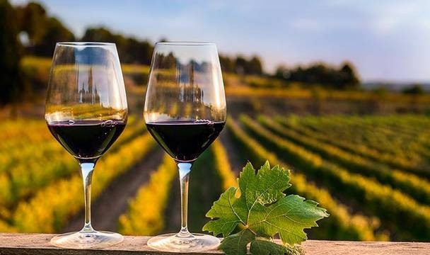 Se realizarán las IV Jornadas Nacionales de Turismo del Vino en Mendoza