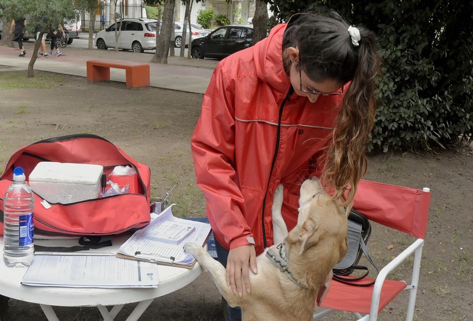 Morón lanza una campaña gratuita de vacunación antirrábica para perros y gatos